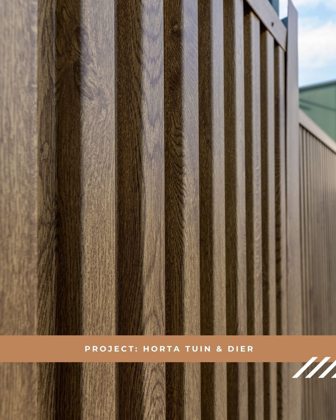 JACKMULLER® Houtnerf